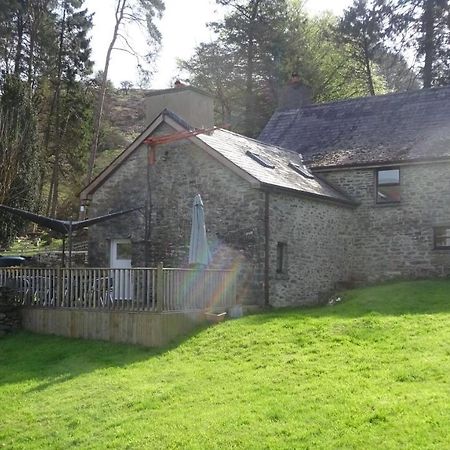 Blaentwrch Farmhouse Llanddewi-Brefi Екстериор снимка