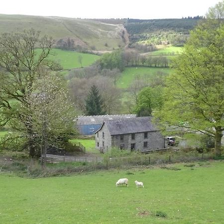 Blaentwrch Farmhouse Llanddewi-Brefi Екстериор снимка
