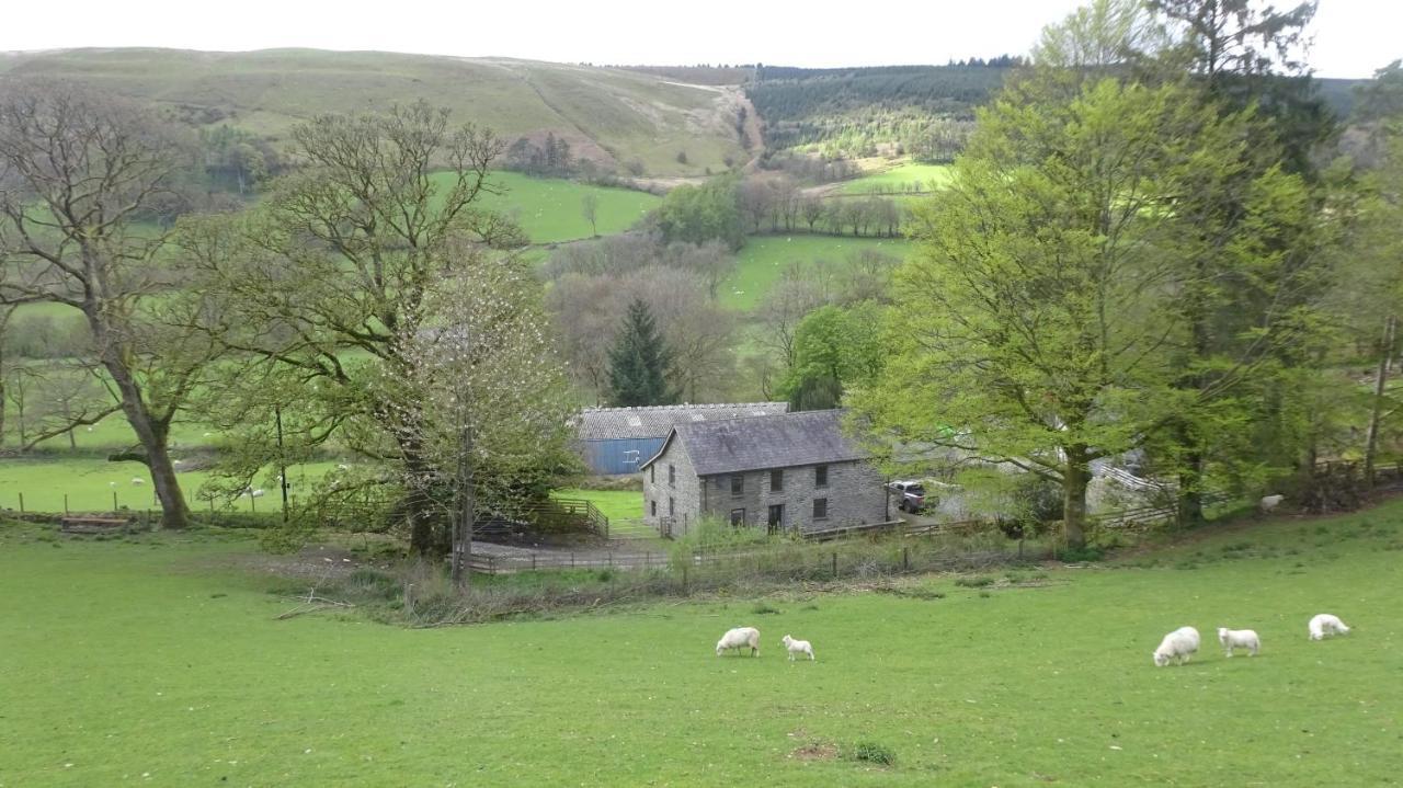Blaentwrch Farmhouse Llanddewi-Brefi Екстериор снимка